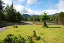 Burnaby Narrows 1.jpg