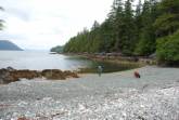 Section Cove.jpg