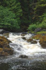 waterfall.jpg