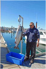 Sandspit-Salmon.jpg
