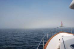 Fog.jpg