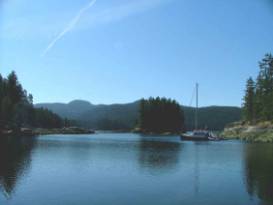 anchor-Waitt-Bay-Background.jpg