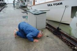 Dock Kiss.jpg
